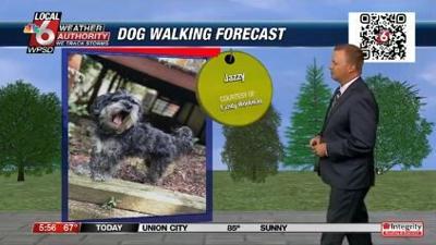 dog walking forecast 7.10.24.JPG