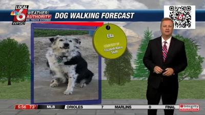 dog walking forecast 7.26.24.JPG