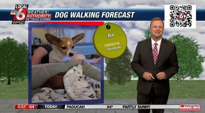 dog walking forecast 8.12.24.JPG