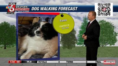 dog walking forecast 8.13.24.JPG