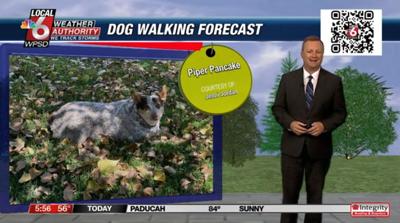 dog walking forecast 8.22.24.JPG