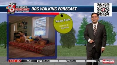 dog walking forecast 9.2.24.JPG